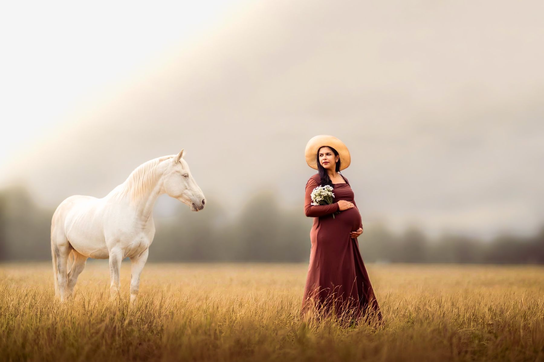 Maternity shoot in a golden field with a white horse